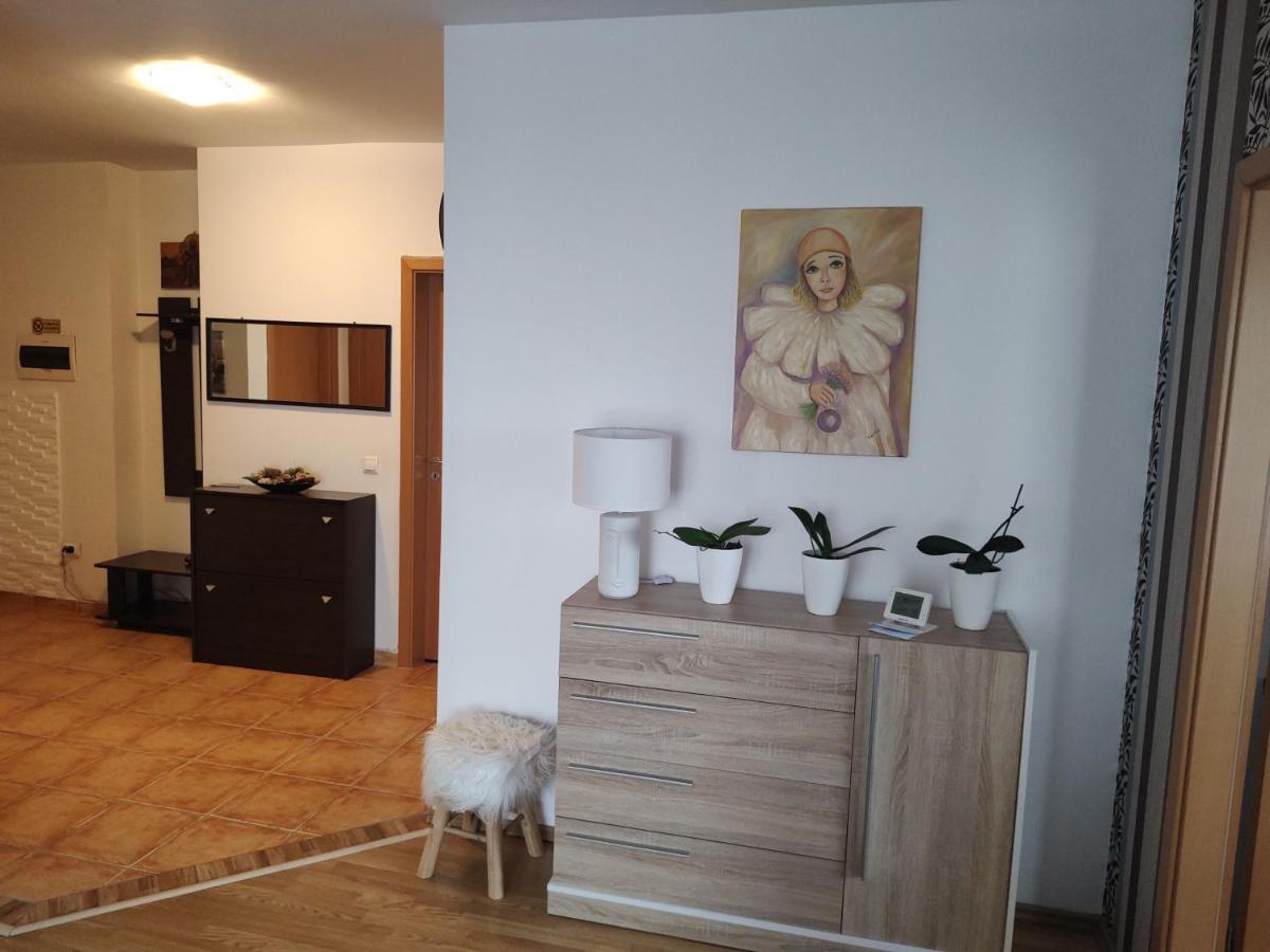 Avantgarden1 .Apartament Lux Брашов Экстерьер фото