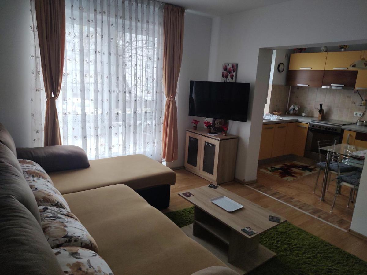 Avantgarden1 .Apartament Lux Брашов Экстерьер фото